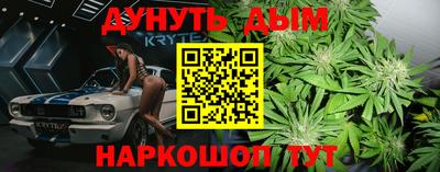 тгк Обь
