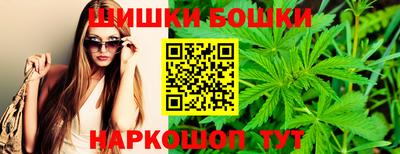 тгк Обь